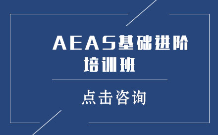 AEAS基础进阶培训班