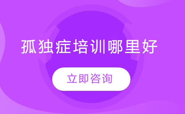 北京孤独症儿童康复教育深度解析