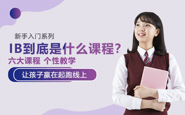 国际文凭课程深度解析与升学指南