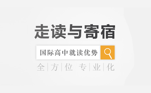 国际教育路径深度解析