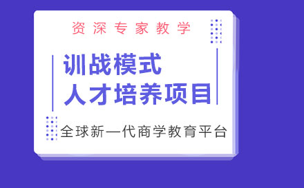 训战模式人才培养项目