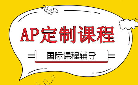 AP定制课程深度解析
