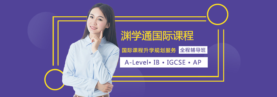 国际教育团队