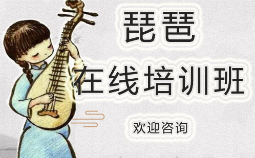 琵琶在线培训班