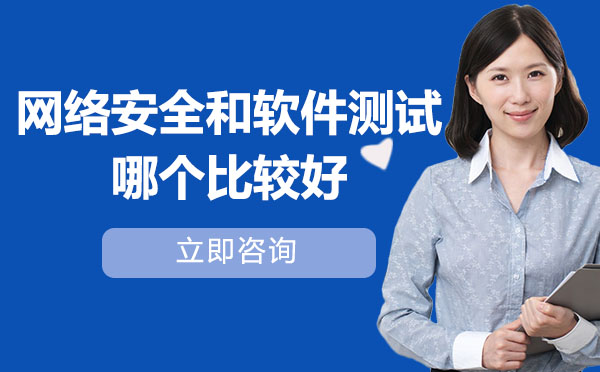 网络安全与软件测试职业发展全方位解析