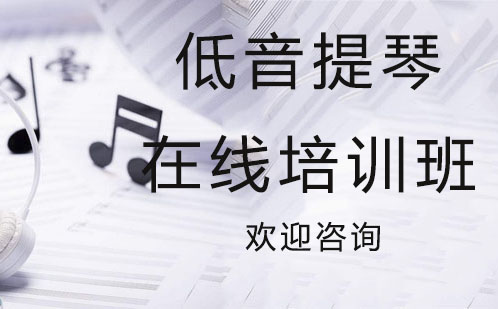 低音提琴在线培训班