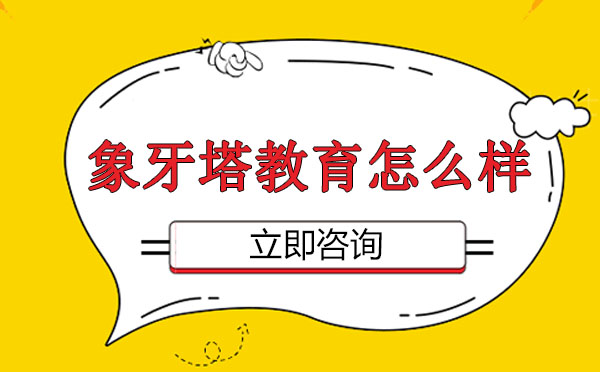 象牙塔教育教学体系深度解析