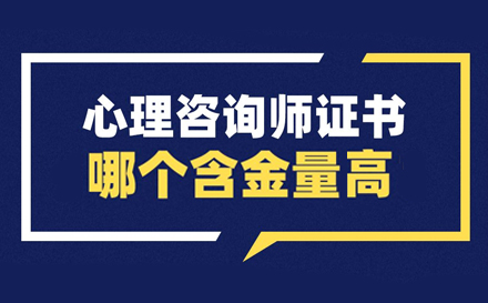 心理咨询师资格认证深度解析