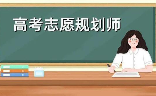 高考志愿规划师职业发展深度解析