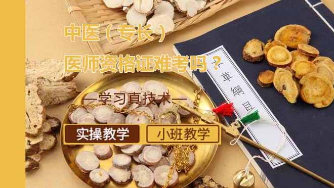 中医专长医师考核深度解析与备考策略