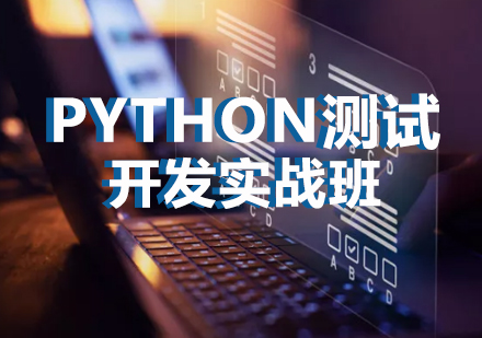 Python测试开发实战班