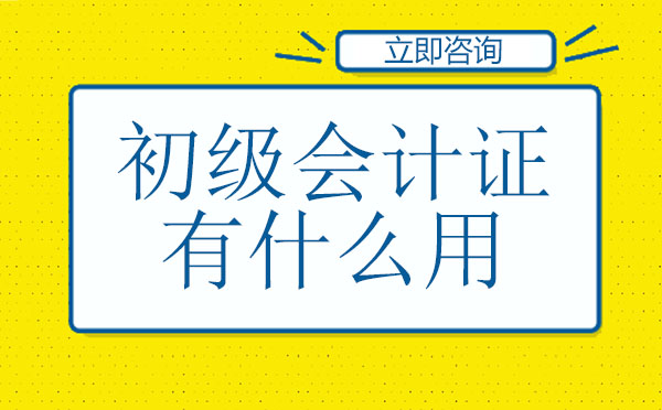 初级会计证核心价值解析