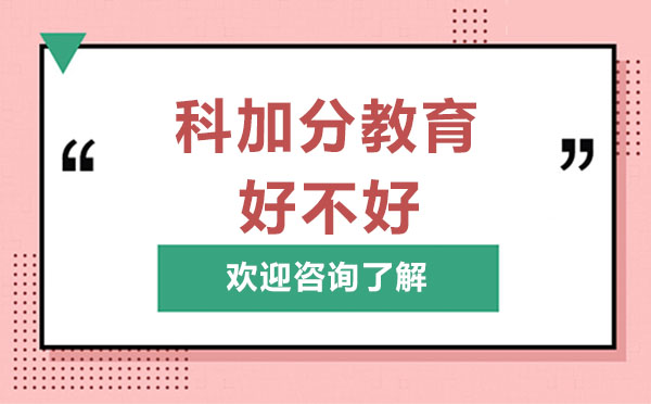 深圳科加分教育深度解析