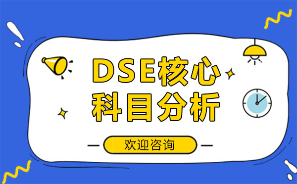 DSE四大主科深度解析