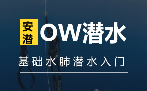 OW基础水肺潜水入门课程