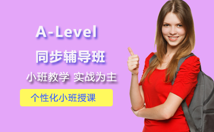 A-Level同步辅导班