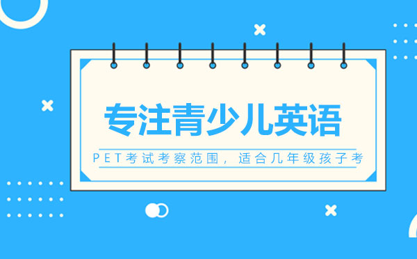 PET考试深度解析与高效备考策略
