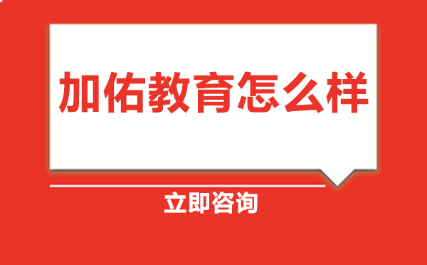 加佑教育深度解析：职业培训领域的领航者