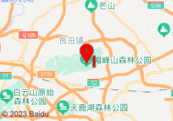 广州AIP国际艺术高中学校白云校区