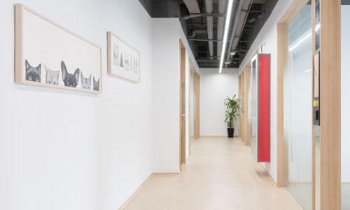 线下小学环境展示