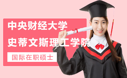 中央理工大学史蒂文斯理工学院中外合作办学课程
