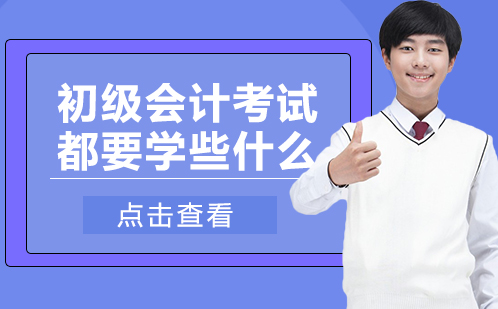 初级会计考试科目深度解析与备考策略指南