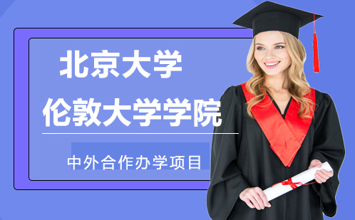 北京大学伦敦大学学员合作办学课程