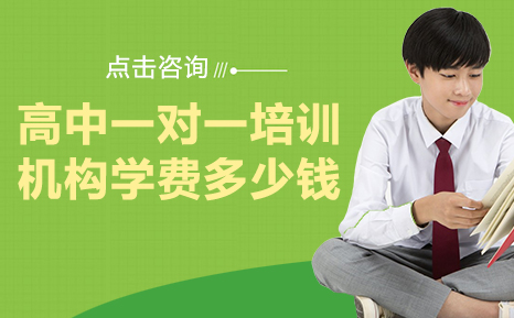 成都高中一对一培训学费全解析