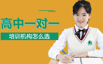 高中一对一辅导机构选择全攻略
