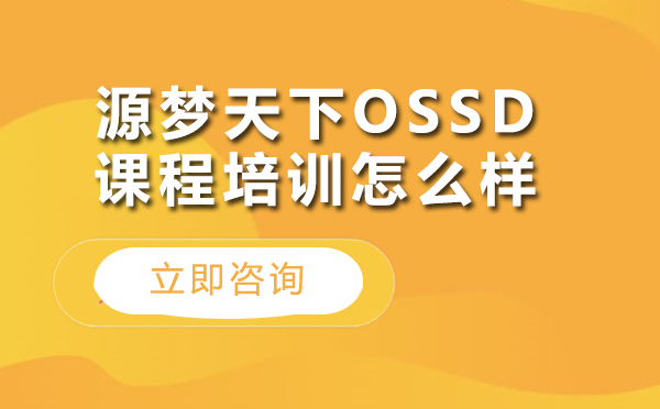 北京源梦天下OSSD课程深度解析