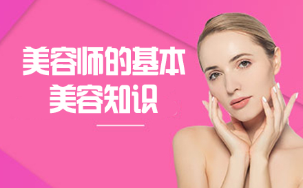 美容师必修皮肤管理全解析