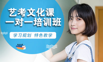 艺考文化课一对一培训班