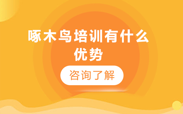 北京啄木鸟培训机构十大核心竞争力解析