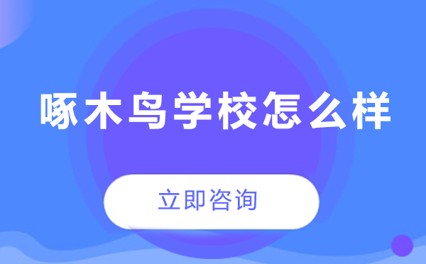 揭秘北京啄木鸟学校优势特色