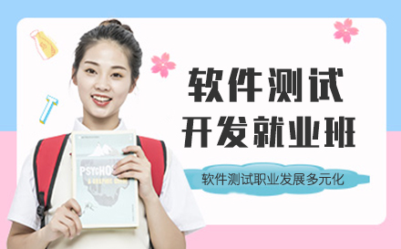 软件测试开发班