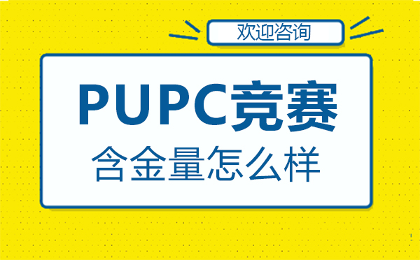 福州PUPC竞赛权威性深度解析