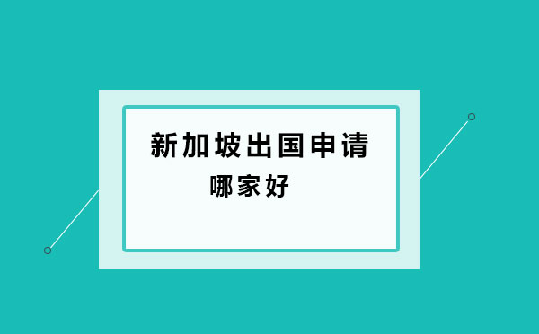 新加坡留学机构深度解析