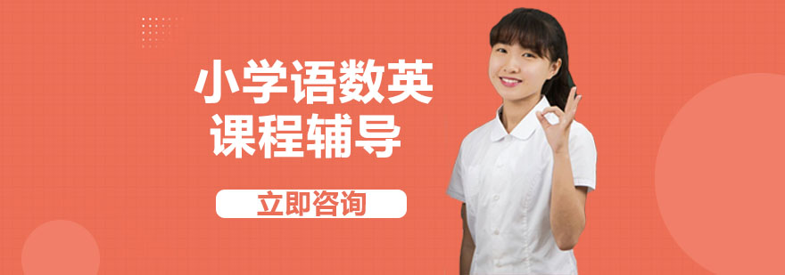 小学辅导课堂