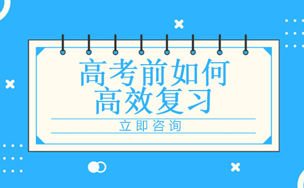 高考冲刺阶段高效复习全攻略