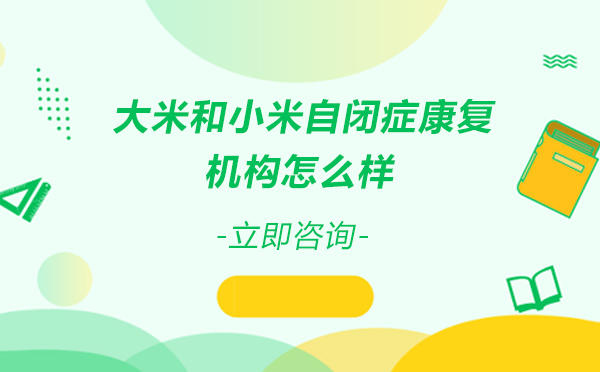 北京大米和小米自闭症康复机构怎么样