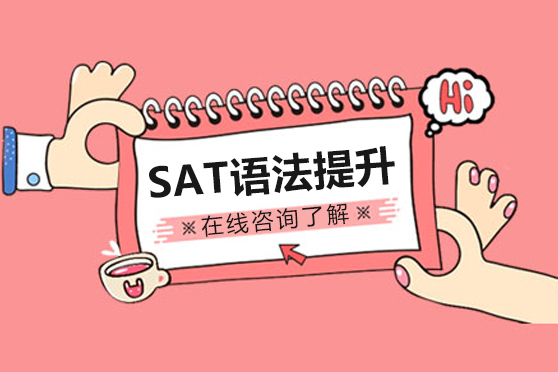 SAT语法提升