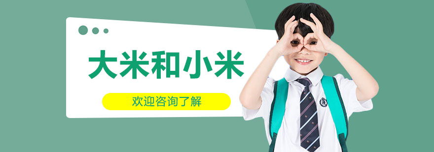 大米和小米机构实景