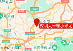 深圳大米和小米龙岗龙城中心