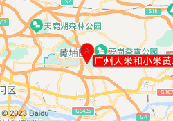 广州大米和小米黄埔中心
