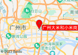 广州大米和小米岗顶中心