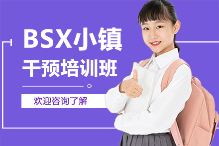 广州BSX小镇干预培训班