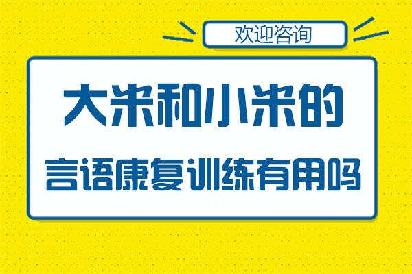 广州大米和小米的言语康复训练有用吗