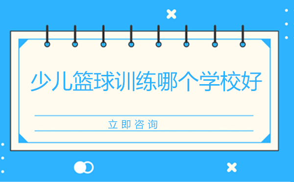 北京专业青少年篮球培训课程深度解析
