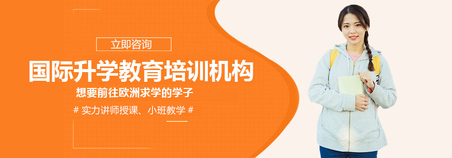 留学服务平台界面