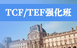 TCF/TEF强化班